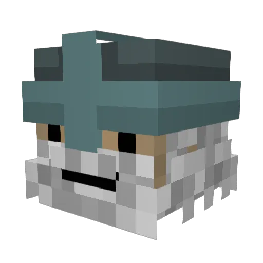 DrDunkmaster Minecraft avatar head, 3D render