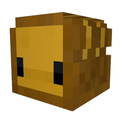 DrDweebJr Minecraft avatar head, 3D render