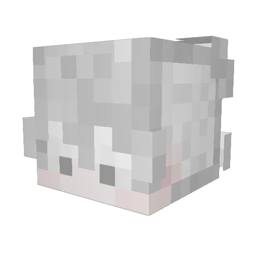 DrDyrik Minecraft avatar head, 3D render
