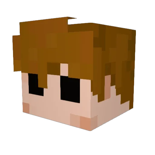 DrEC Minecraft avatar head, 3D render