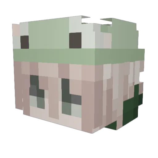 DrEatsIt Minecraft avatar head, 3D render