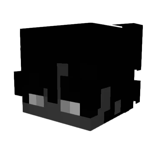DrEgeTurk Minecraft avatar head, 3D render