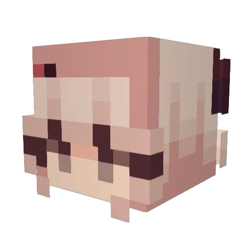 DrEmma56 Minecraft avatar head, 3D render