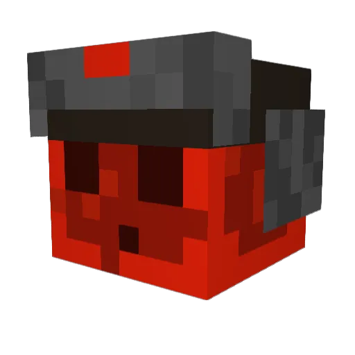 DrErde33 Minecraft avatar head, 3D render