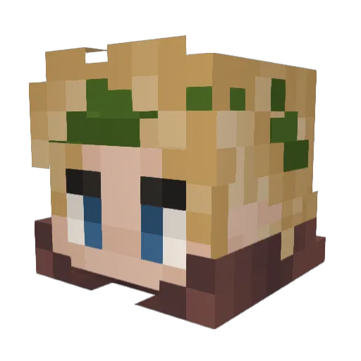 DrF1imF1am Minecraft avatar head, 3D render
