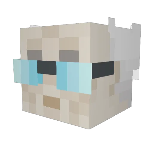DrFOOLISH Minecraft avatar head, 3D render