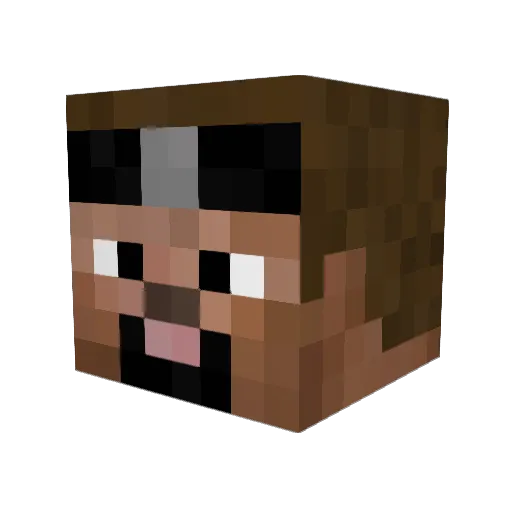 DrFeelsGood Minecraft avatar head, 3D render