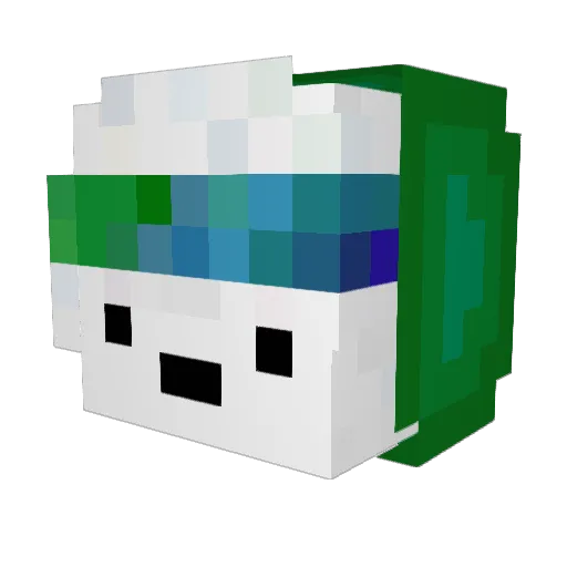 DrFencer Minecraft avatar head, 3D render