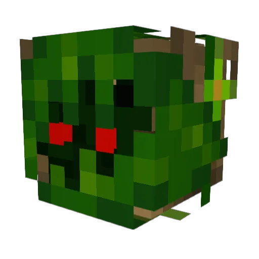DrFern09 Minecraft avatar head, 3D render