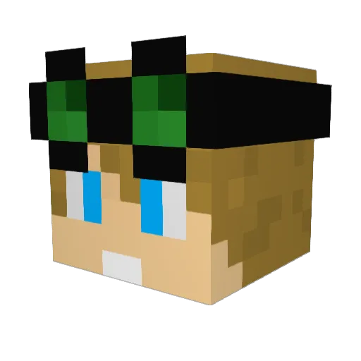 DrFesterpus Minecraft avatar head, 3D render