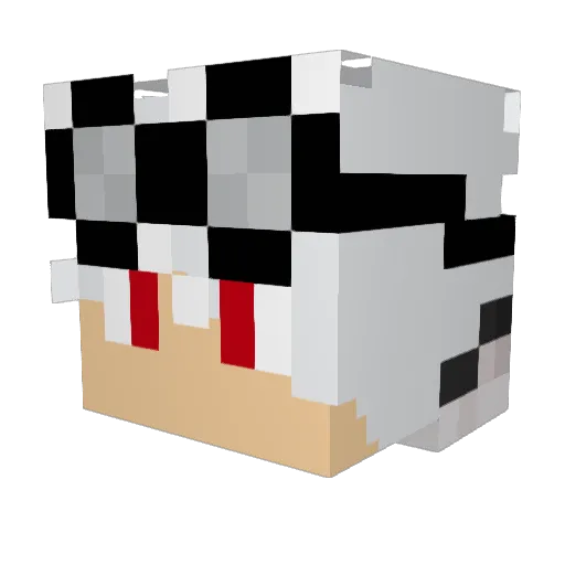 DrFineBones Minecraft avatar head, 3D render