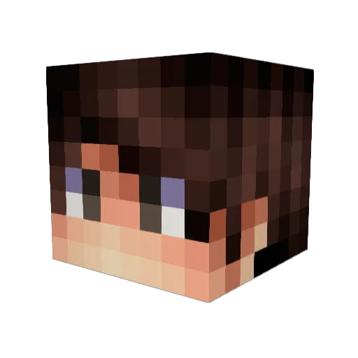 DrFink Minecraft avatar head, 3D render
