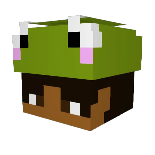 DrFlock Minecraft avatar head, 3D render