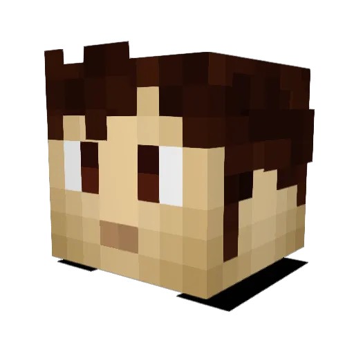 DrFloflo Minecraft avatar head, 3D render