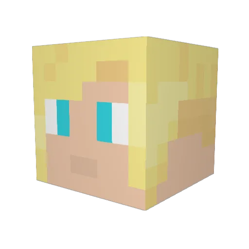 DrFox003 Minecraft avatar head, 3D render