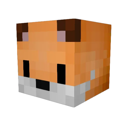 DrFoxyFreeman Minecraft avatar head, 3D render