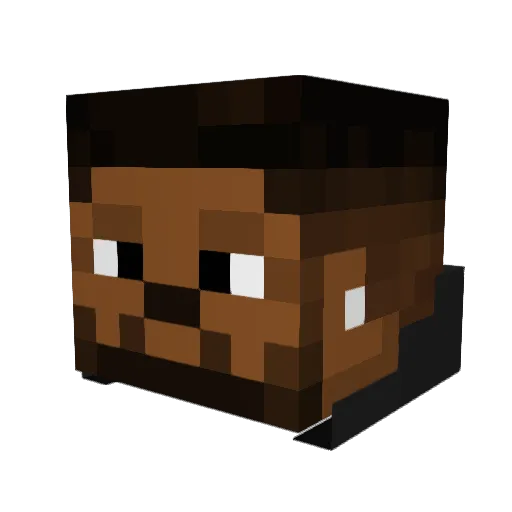 DrFru36 Minecraft avatar head, 3D render