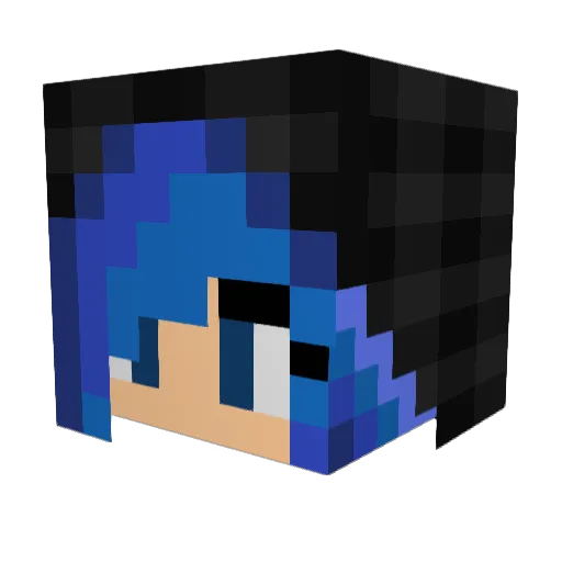 DrFuzzyBum Minecraft avatar head, 3D render