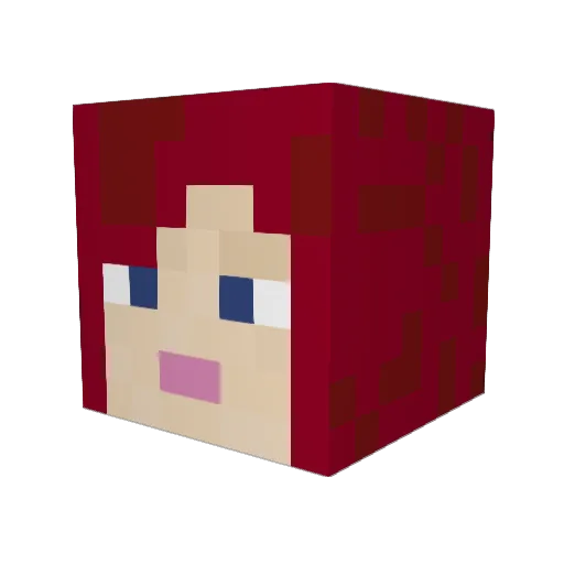 DrGamer24 Minecraft avatar head, 3D render