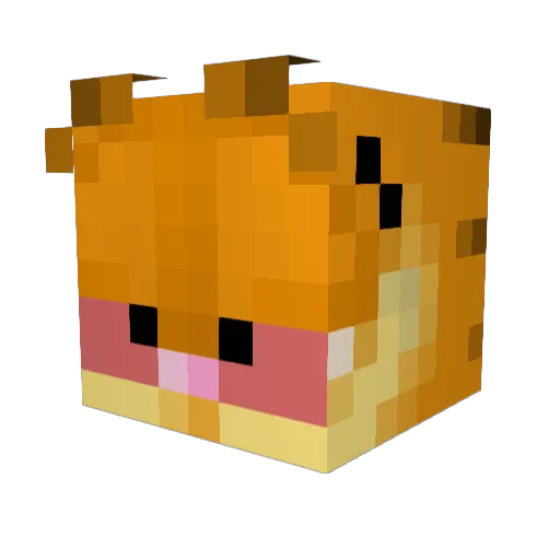 DrGarf Minecraft avatar head, 3D render