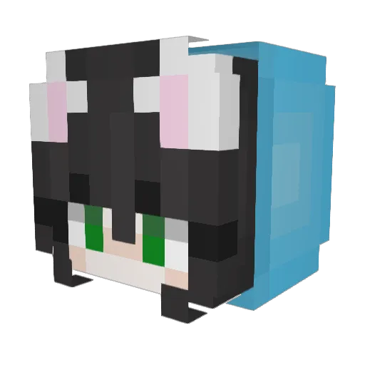 DrGreenTransGirl Minecraft avatar head, 3D render