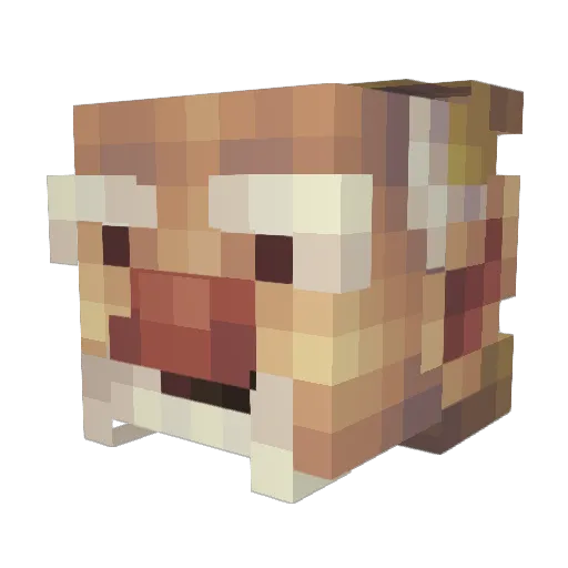 DrGrungy Minecraft avatar head, 3D render