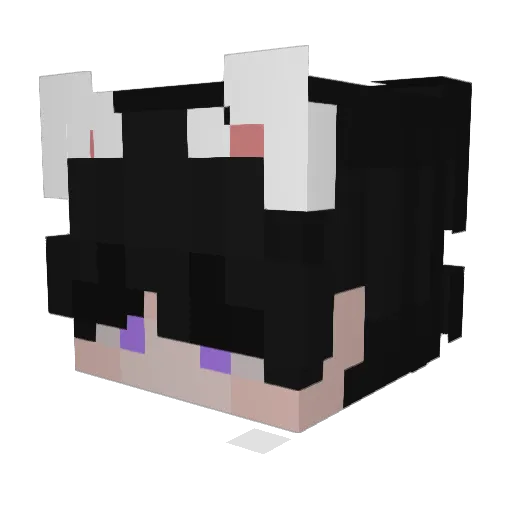 DrHNT Minecraft avatar head, 3D render