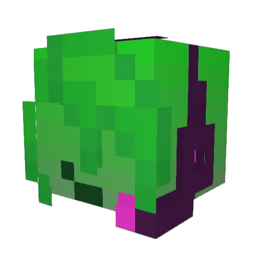 DrHabitLover Minecraft avatar head, 3D render
