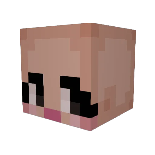 DrHealthMan Minecraft avatar head, 3D render