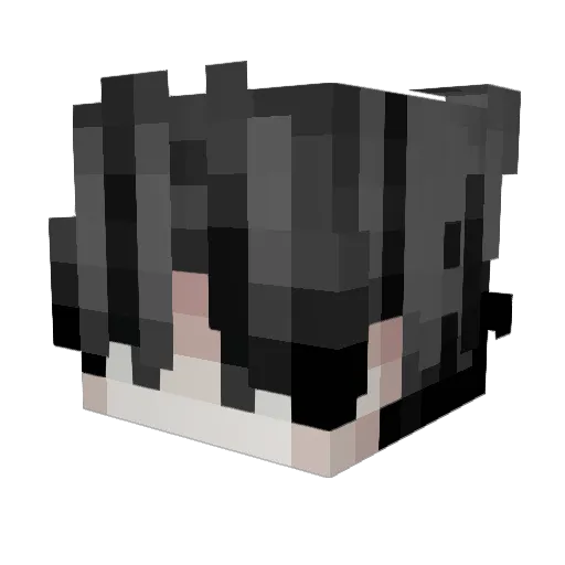 DrHeizz Minecraft avatar head, 3D render