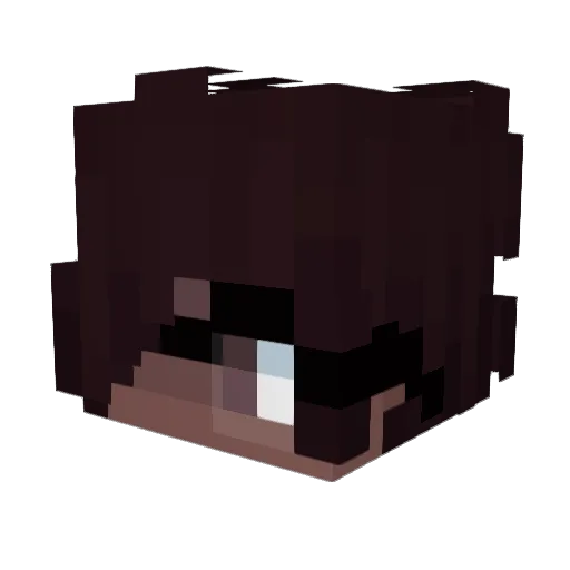 DrHeretic Minecraft avatar head, 3D render