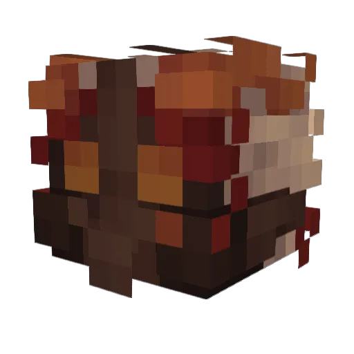 DrHug Minecraft avatar head, 3D render
