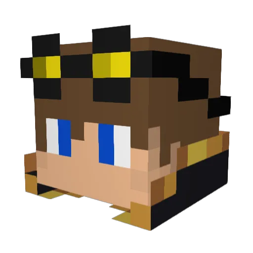 DrInterstellar Minecraft avatar head, 3D render