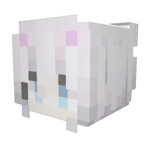 DrIsotherm Minecraft avatar head, 3D render