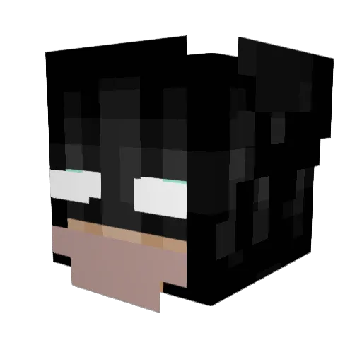 DrJay95 Minecraft avatar head, 3D render