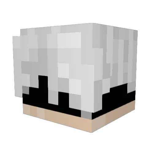 DrKinderr Minecraft avatar head, 3D render