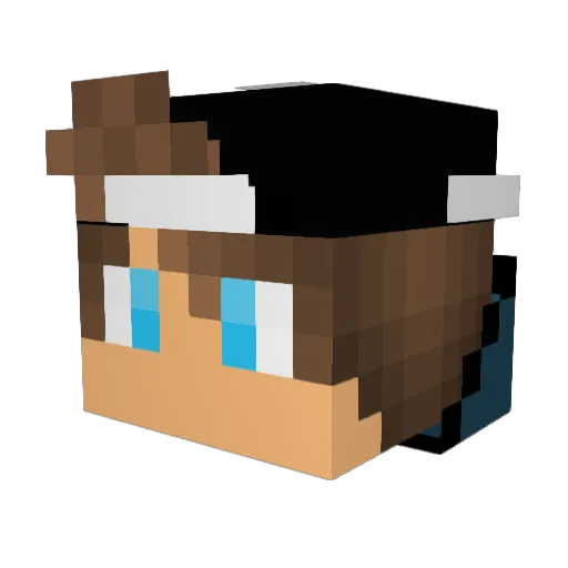 DrKing11 Minecraft avatar head, 3D render