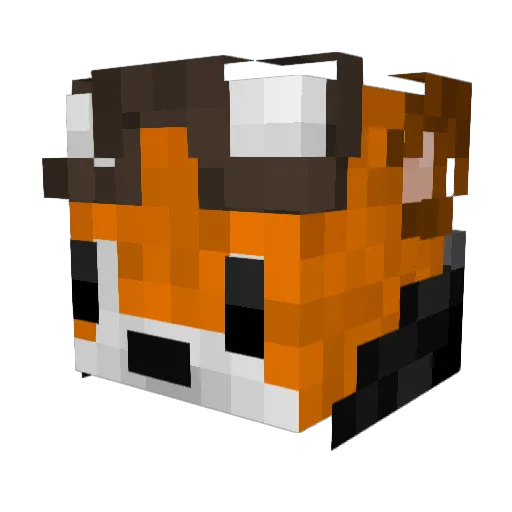DrKingFox Minecraft avatar head, 3D render