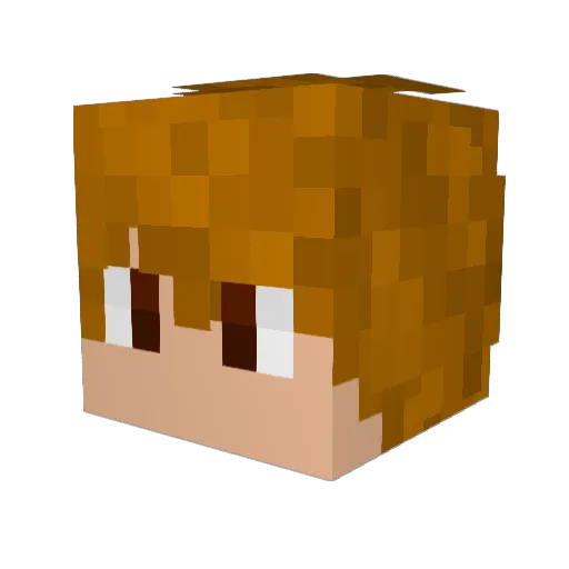 DrKoa Minecraft avatar head, 3D render