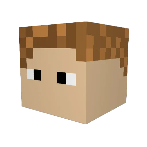 DrKoala51 Minecraft avatar head, 3D render