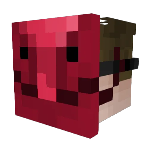 DrKrafta Minecraft avatar head, 3D render