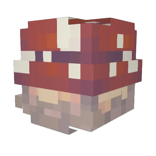 DrKrasnal Minecraft avatar head, 3D render