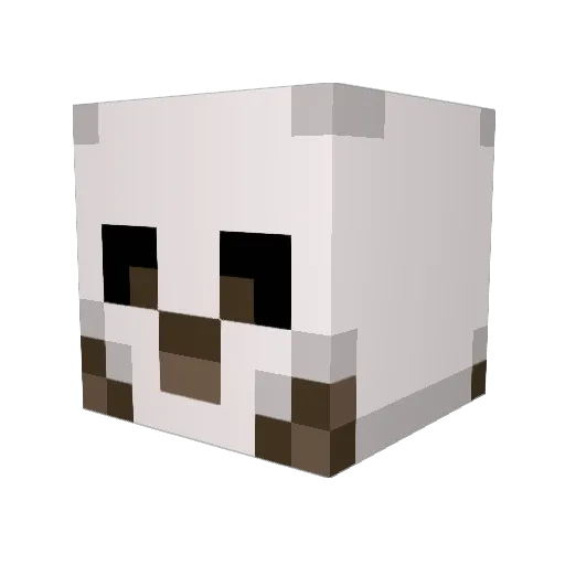 DrLardo Minecraft avatar head, 3D render