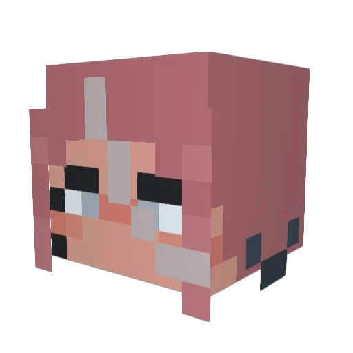 DrLessy Minecraft avatar head, 3D render
