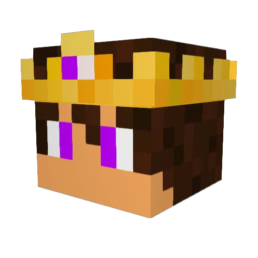 DrLiin Minecraft avatar head, 3D render