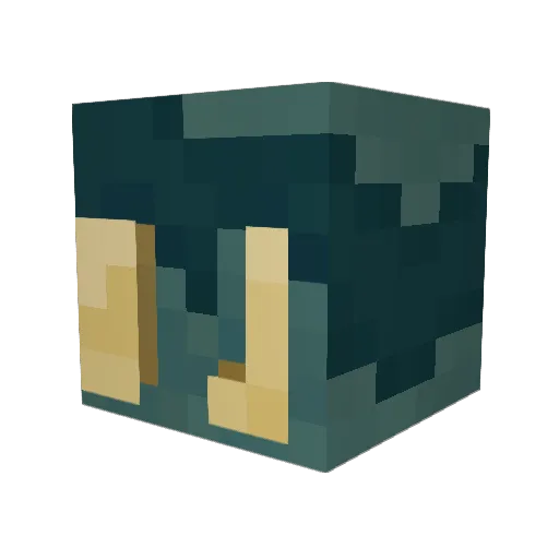 DrLodz Minecraft avatar head, 3D render