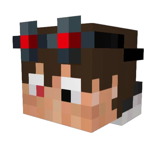 DrLogans Minecraft avatar head, 3D render