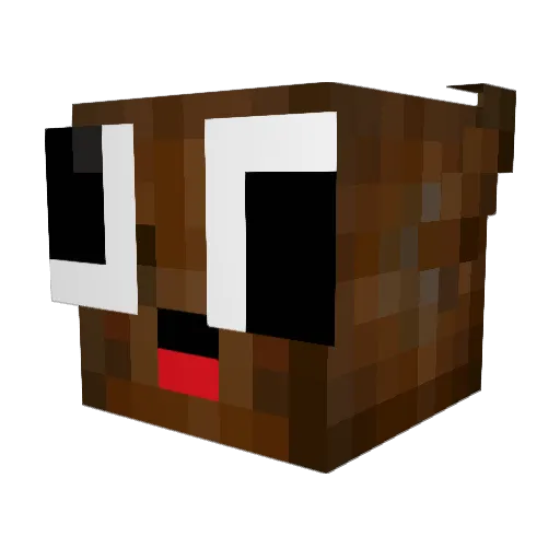 DrLoli Minecraft avatar head, 3D render