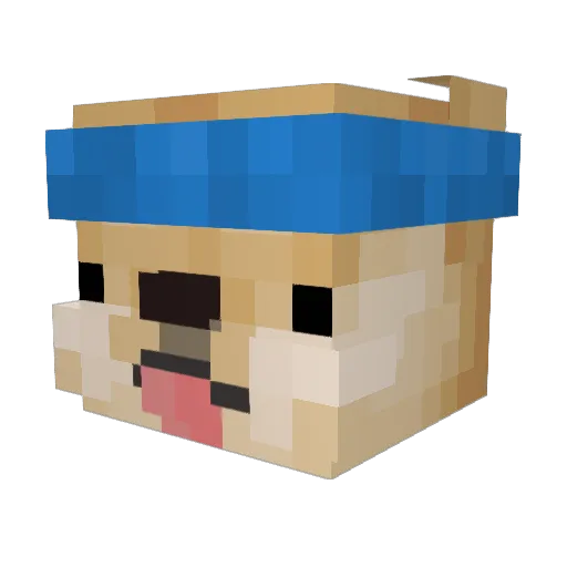 DrMaddog Minecraft avatar head, 3D render