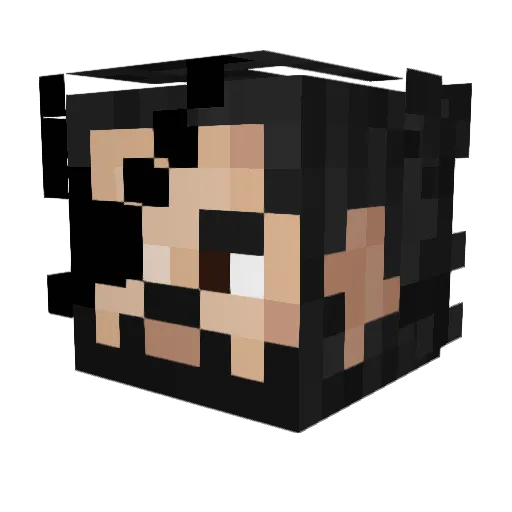 DrMedWurst275 Minecraft avatar head, 3D render